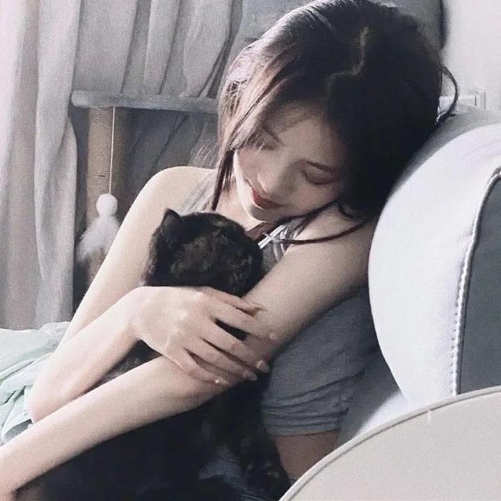 六叠间的钢琴家