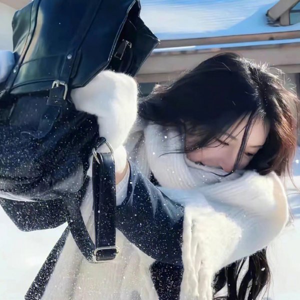 三只狼
